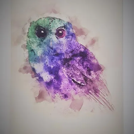 Luxury Rainbow Owl - Top Location Апартаменты Варна